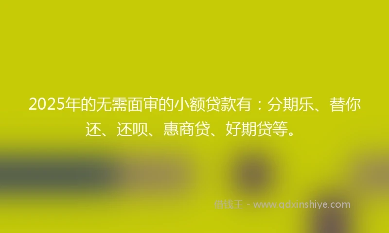 2025年的无需面审的小额贷款有：分期乐、替你还、还呗、惠商贷、好期贷等。