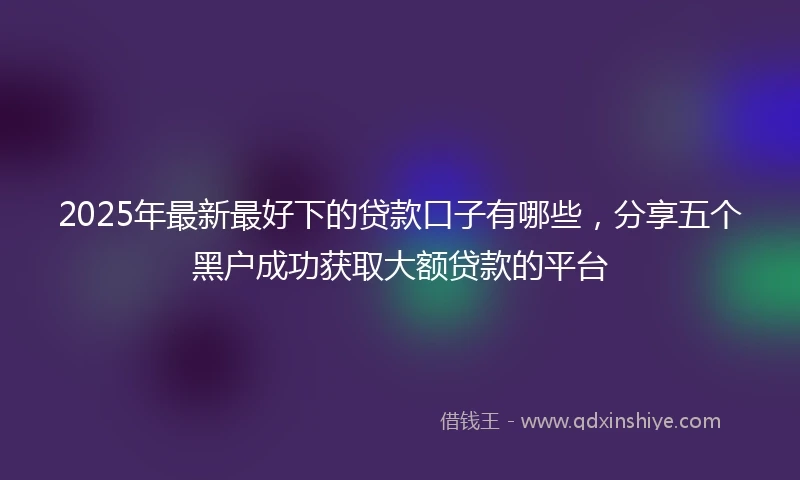 2025年最新最好下的贷款口子有哪些，分享五个黑户成功获取大额贷款的平台