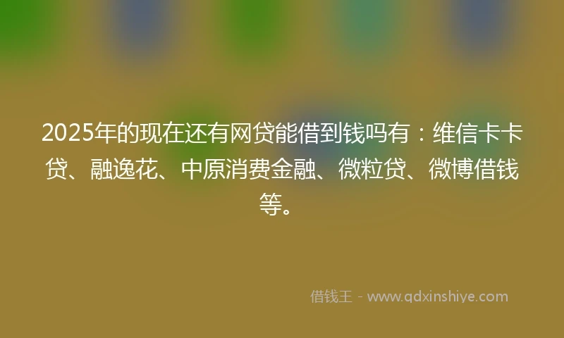 2025年的现在还有网贷能借到钱吗有：维信卡卡贷、融逸花、中原消费金融、微粒贷、微博借钱等。