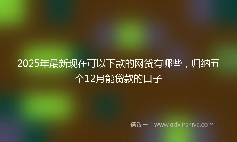 2025年最新现在可以下款的网贷有哪些，归纳五个12月能贷款的口子