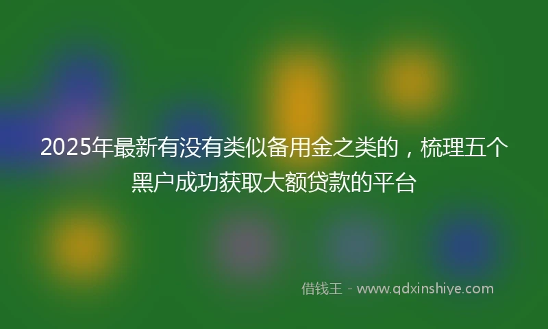 2025年最新有没有类似备用金之类的，梳理五个黑户成功获取大额贷款的平台