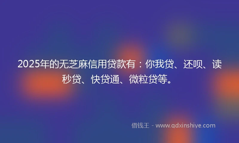 2025年的无芝麻信用贷款有：你我贷、还呗、读秒贷、快贷通、微粒贷等。