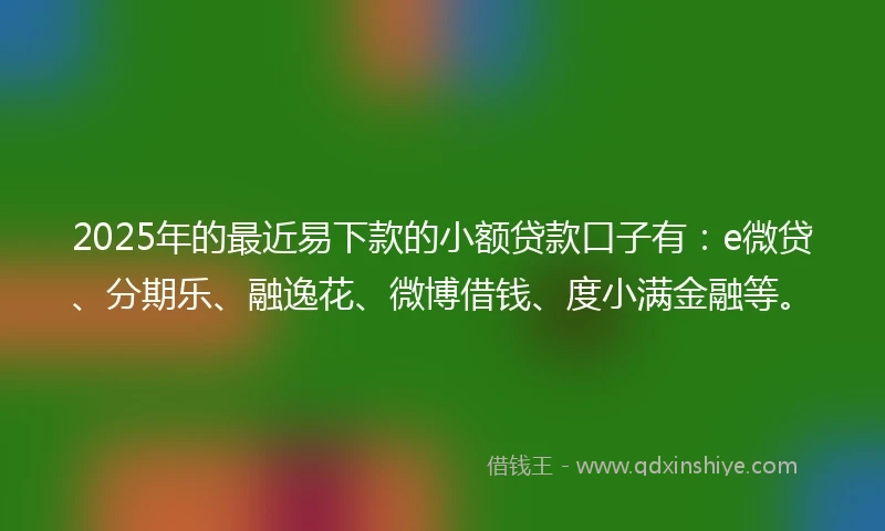 2025年的最近易下款的小额贷款口子有：e微贷、分期乐、融逸花、微博借钱、度小满金融等。