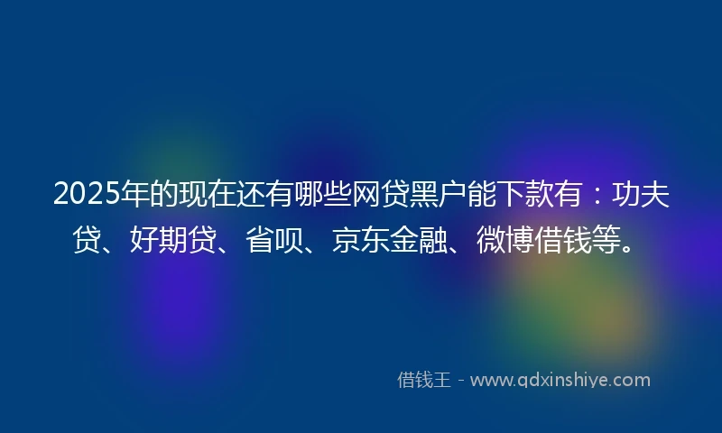 2025年的现在还有哪些网贷黑户能下款有：功夫贷、好期贷、省呗、京东金融、微博借钱等。