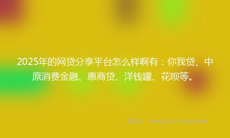 2025年的网贷分享平台怎么样啊有：你我贷、中原消费金融、惠商贷、洋钱罐、花呗等。