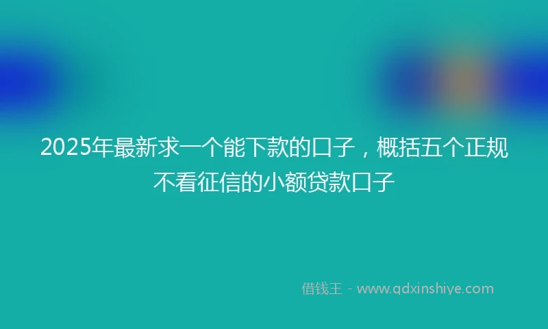 2025年最新求一个能下款的口子，概括五个正规不看征信的小额贷款口子