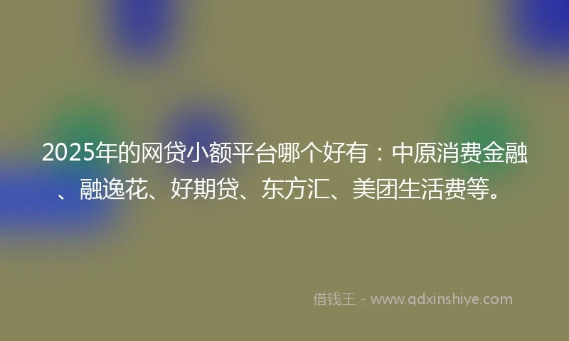 2025年的网贷小额平台哪个好有：中原消费金融、融逸花、好期贷、东方汇、美团生活费等。