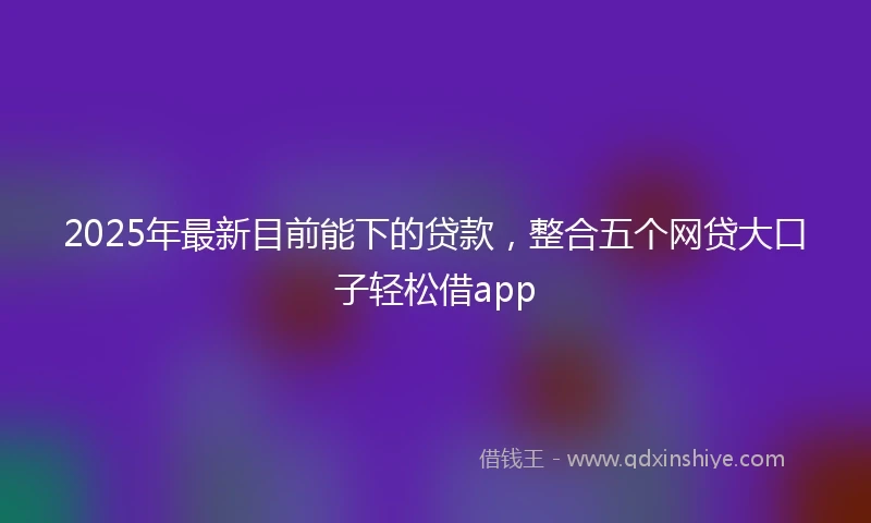 2025年最新目前能下的贷款，整合五个网贷大口子轻松借app