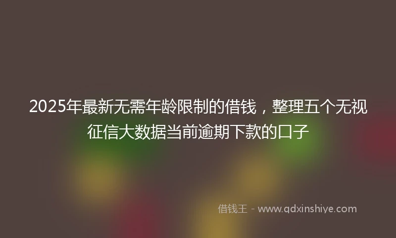2025年最新无需年龄限制的借钱，整理五个无视征信大数据当前逾期下款的口子
