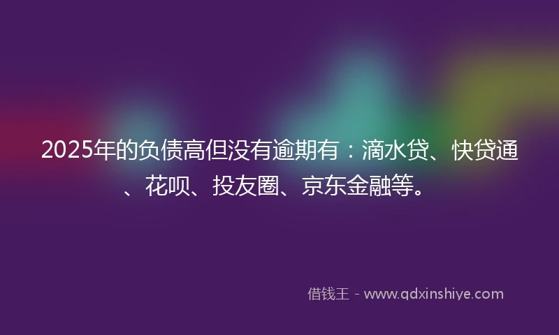 2025年的负债高但没有逾期有：滴水贷、快贷通、花呗、投友圈、京东金融等。