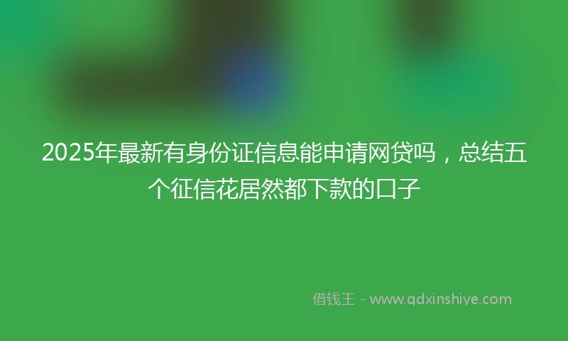 2025年最新有身份证信息能申请网贷吗，总结五个征信花居然都下款的口子