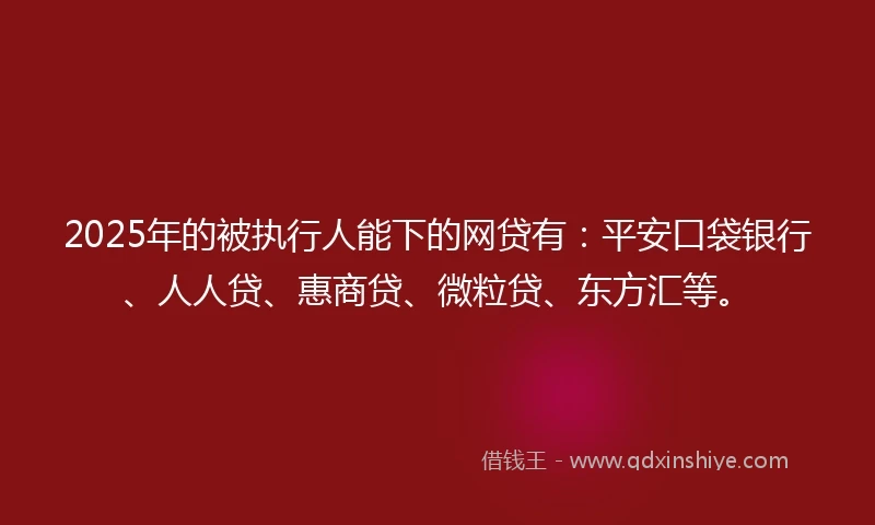 2025年的被执行人能下的网贷有：平安口袋银行、人人贷、惠商贷、微粒贷、东方汇等。