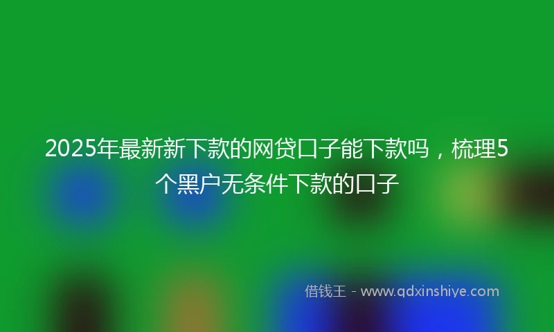 2025年最新新下款的网贷口子能下款吗，梳理5个黑户无条件下款的口子