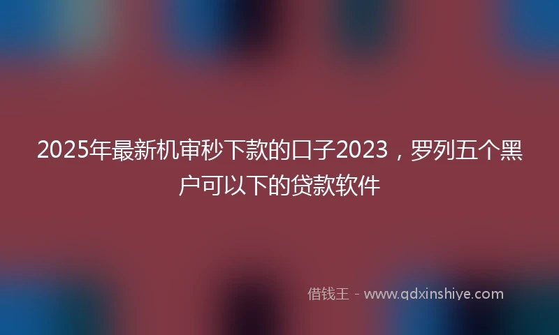 2025年最新机审秒下款的口子2023,罗列五个黑户可以下的贷款软件
