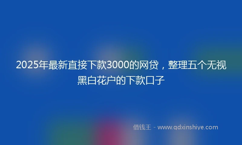 2025年最新直接下款3000的网贷，整理五个无视黑白花户的下款口子