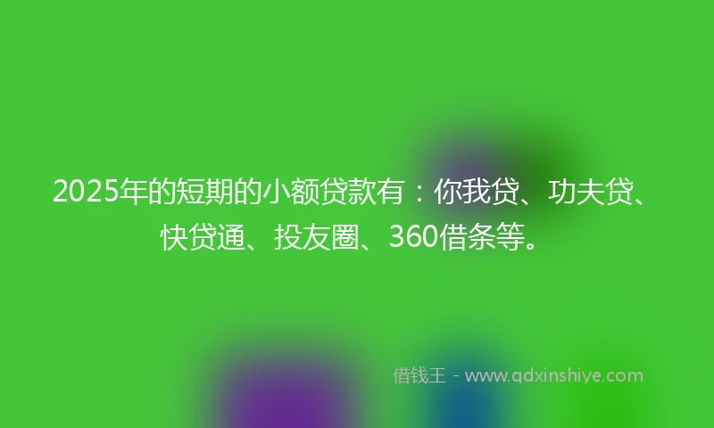 2025年的短期的小额贷款有：你我贷、功夫贷、快贷通、投友圈、360借条等。