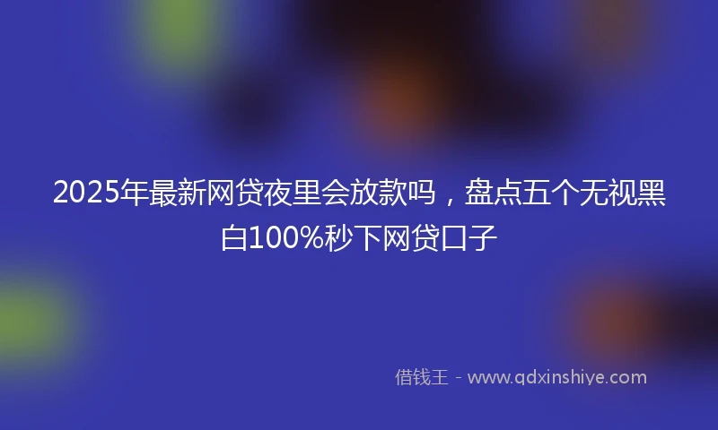 2025年最新网贷夜里会放款吗，盘点五个无视黑白100%秒下网贷口子