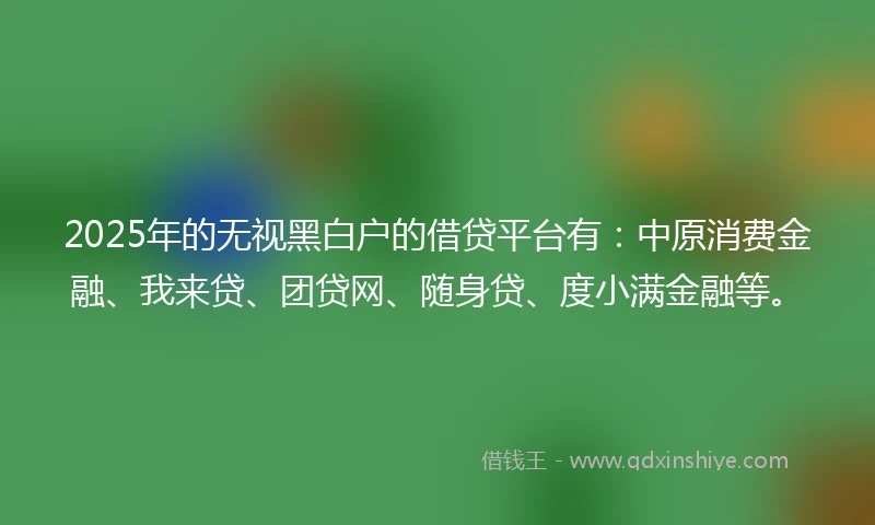 2025年的无视黑白户的借贷平台有：中原消费金融、我来贷、团贷网、随身贷、度小满金融等。