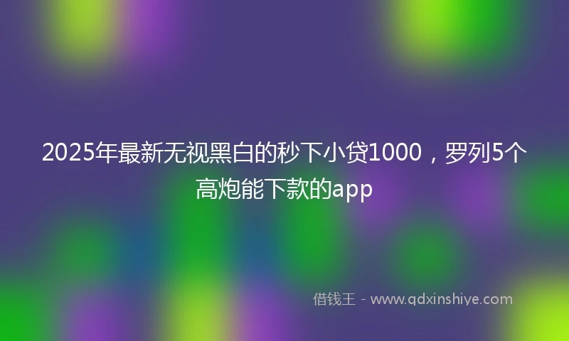 2025年最新无视黑白的秒下小贷1000，罗列5个高炮能下款的app