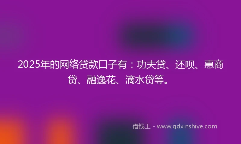 2025年的网络贷款口子有：功夫贷、还呗、惠商贷、融逸花、滴水贷等。