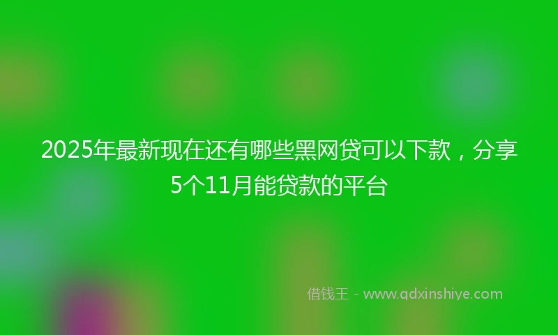 2025年最新现在还有哪些黑网贷可以下款，分享5个11月能贷款的平台