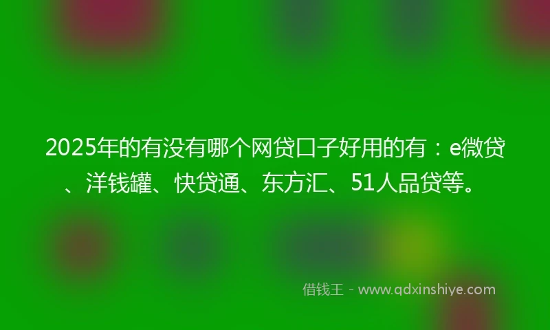 2025年的有没有哪个网贷口子好用的有：e微贷、洋钱罐、快贷通、东方汇、51人品贷等。