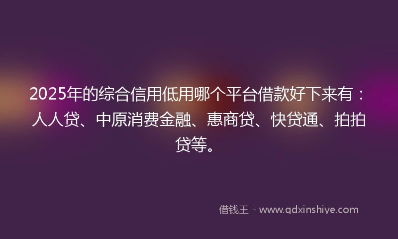 2025年的综合信用低用哪个平台借款好下来有：人人贷、中原消费金融、惠商贷、快贷通、拍拍贷等。