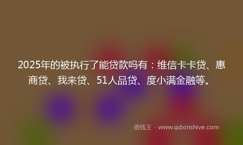 2025年的被执行了能贷款吗有：维信卡卡贷、惠商贷、我来贷、51人品贷、度小满金融等。