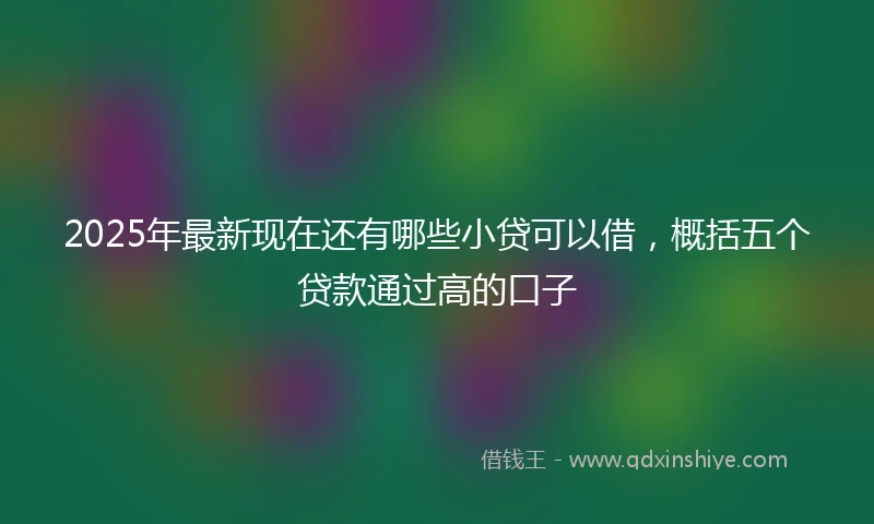 2025年最新现在还有哪些小贷可以借，概括五个贷款通过高的口子
