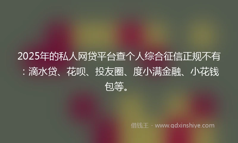 2025年的私人网贷平台查个人综合征信正规不有：滴水贷、花呗、投友圈、度小满金融、小花钱包等。