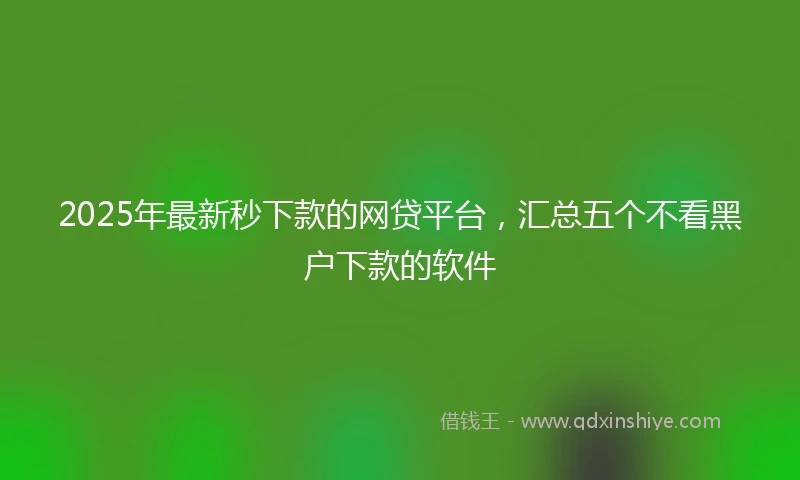 2025年最新秒下款的网贷平台，汇总五个不看黑户下款的软件