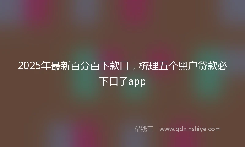 2025年最新百分百下款口，梳理五个黑户贷款必下口子app