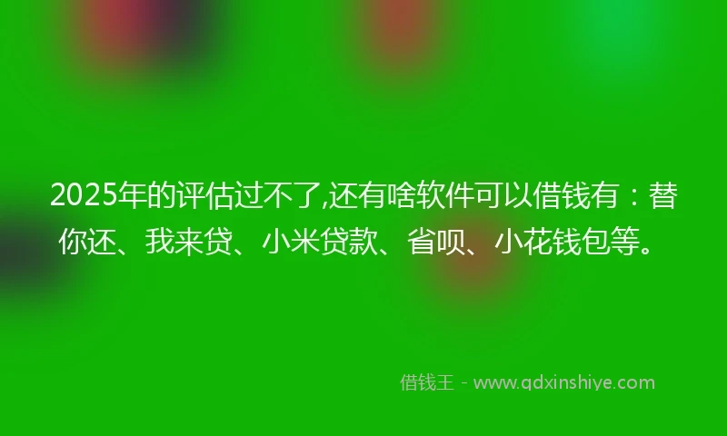 2025年的评估过不了,还有啥软件可以借钱有:替你还、我来贷、小米贷款、省呗、小花钱包等。