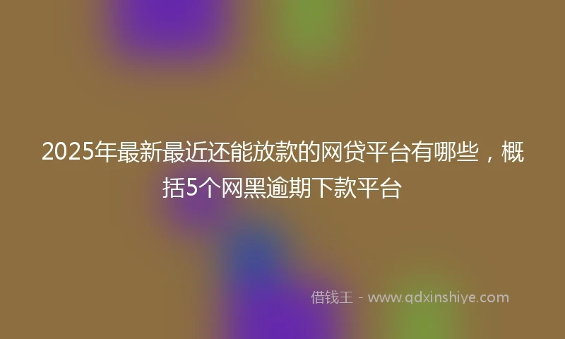 2025年最新最近还能放款的网贷平台有哪些，概括5个网黑逾期下款平台
