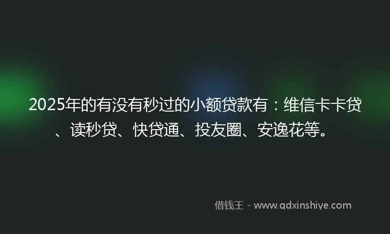 2025年的有没有秒过的小额贷款有：维信卡卡贷、读秒贷、快贷通、投友圈、安逸花等。