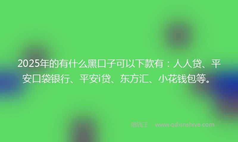 2025年的有什么黑口子可以下款有：人人贷、平安口袋银行、平安i贷、东方汇、小花钱包等。