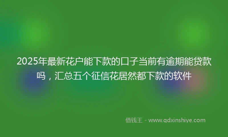 2025年最新花户能下款的口子当前有逾期能贷款吗，汇总五个征信花居然都下款的软件