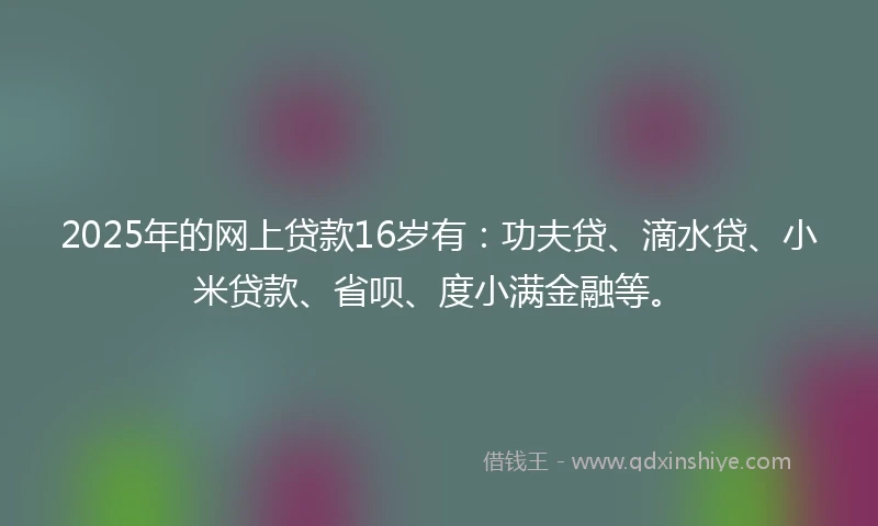 2025年的网上贷款16岁有：功夫贷、滴水贷、小米贷款、省呗、度小满金融等。