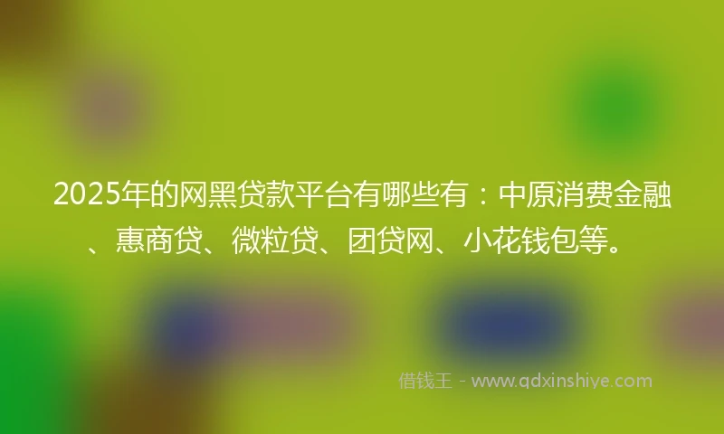 2025年的网黑贷款平台有哪些有:中原消费金融、惠商贷、微粒贷、团贷网、小花钱包等。