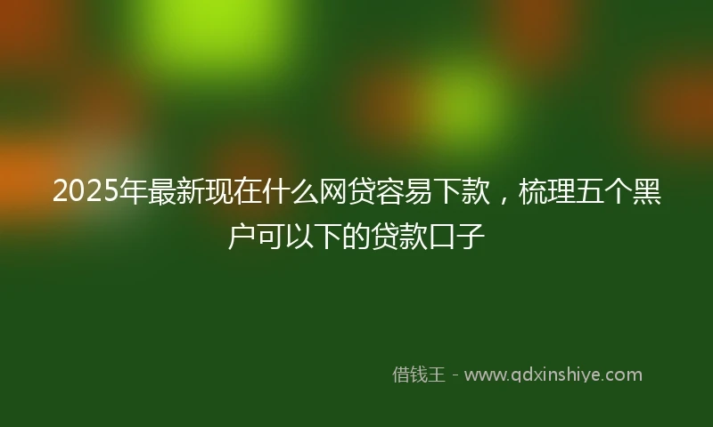 2025年最新现在什么网贷容易下款，梳理五个黑户可以下的贷款口子