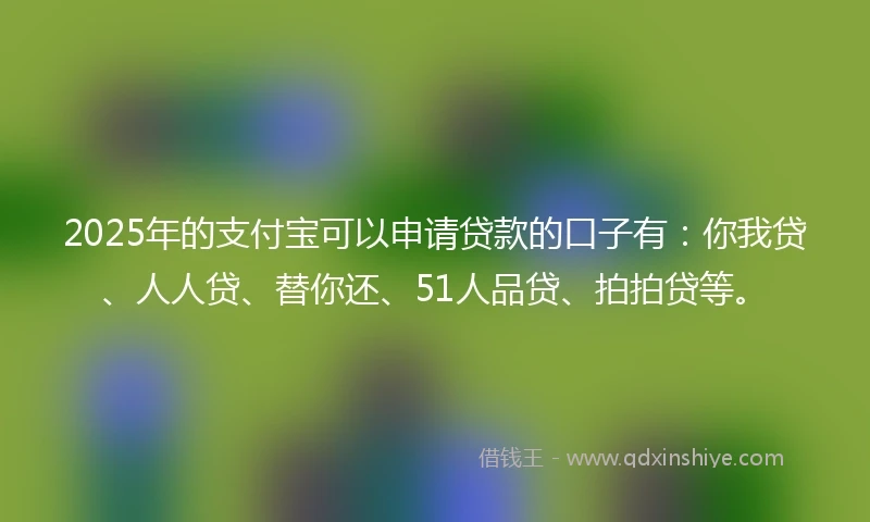 2025年的支付宝可以申请贷款的口子有：你我贷、人人贷、替你还、51人品贷、拍拍贷等。