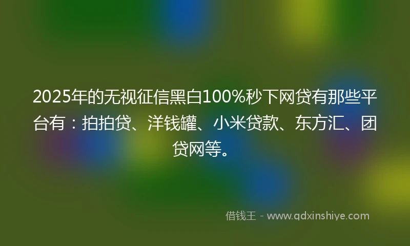 2025年的无视征信黑白100%秒下网贷有那些平台有：拍拍贷、洋钱罐、小米贷款、东方汇、团贷网等。