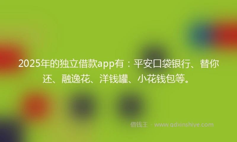 2025年的独立借款app有：平安口袋银行、替你还、融逸花、洋钱罐、小花钱包等。