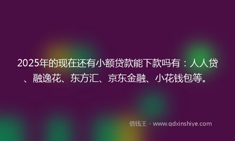 2025年的现在还有小额贷款能下款吗有：人人贷、融逸花、东方汇、京东金融、小花钱包等。