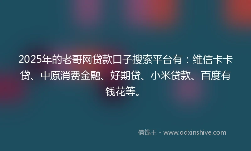 2025年的老哥网贷款口子搜索平台有：维信卡卡贷、中原消费金融、好期贷、小米贷款、百度有钱花等。