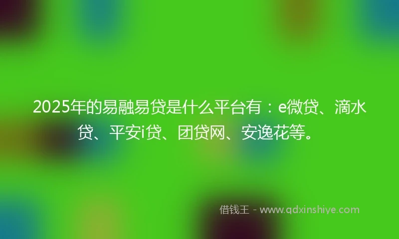 2025年的易融易贷是什么平台有：e微贷、滴水贷、平安i贷、团贷网、安逸花等。