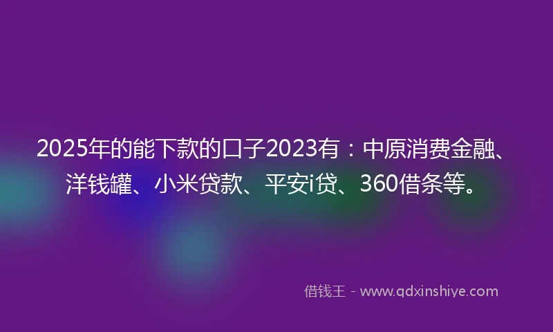 2025年的能下款的口子2023有：中原消费金融、洋钱罐、小米贷款、平安i贷、360借条等。