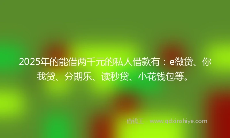 2025年的能借两千元的私人借款有：e微贷、你我贷、分期乐、读秒贷、小花钱包等。