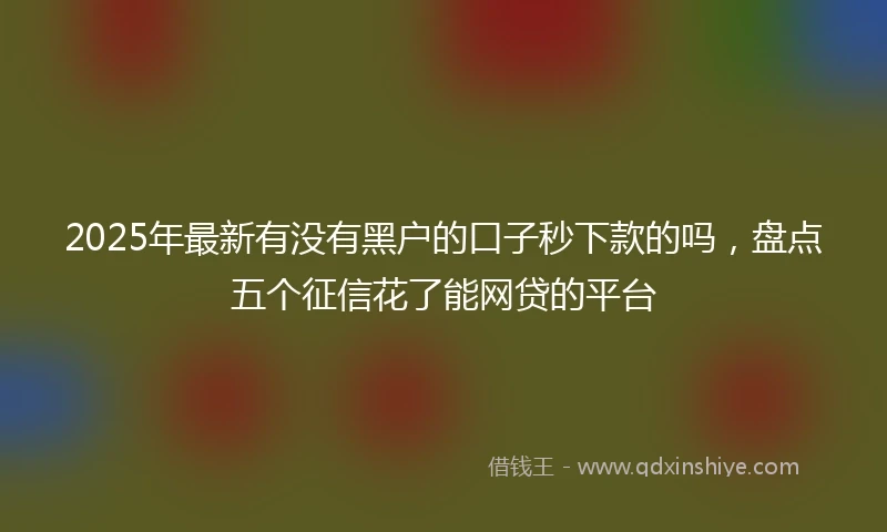2025年最新有没有黑户的口子秒下款的吗，盘点五个征信花了能网贷的平台