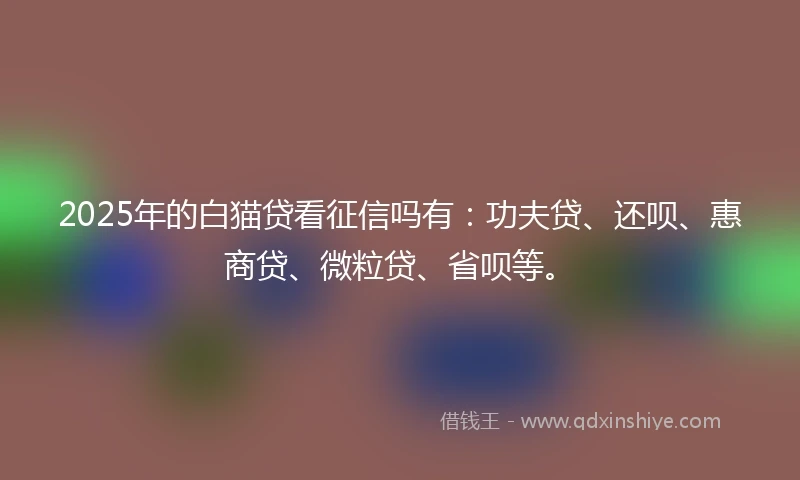 2025年的白猫贷看征信吗有：功夫贷、还呗、惠商贷、微粒贷、省呗等。